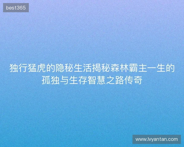 独行猛虎的隐秘生活揭秘森林霸主一生的孤独与生存智慧之路传奇