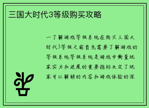 三国大时代3等级购买攻略